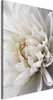 Vlies Leinwandbild - White Dahlia 20x30 cm Blumen Produktbild-Vorschau 1