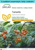 SAFLAX - Zestaw prezentowy - Tamarillo - 50 Nasiona - Z Podgląd zdjęcia produktu 1