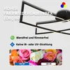 IMPTS LED Deckenleuchte 30W Modern Deckenlampe Schwarz Produktbild-Vorschau 8