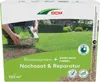 DCM Rasensamen Nachsaat & Repartur 2,25 kg Produktbild-Vorschau 1