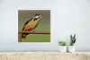 MuchoWow® Poster Ein Buntspecht sitzt auf einem Pfahl 30x30 Produktbild-Vorschau 5