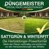 DÜNGEMEISTER Herbst Rasendünger – mit Langzeitwirkung und Produktbild-Vorschau 2
