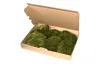 Natur Hügelmoos waldgrün 35 x 25 cm, reines Naturprodukt Produktbild-Vorschau 5