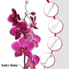 KOTARBAU® Lot de 6 supports de plantes Transparent PVC 55 Voir les images du produit 6