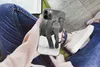 MuchoWow® Handyhülle Schutzhülle Hülle für iPhone 13 Pro Produktbild-Vorschau 3