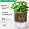 Kräutertopf Blumentopf Selbstbewässerungstopf Pflanzentopf Produktbild-Vorschau 3