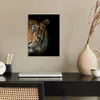 MuchoWow® Poster Tiger - Tiere - Porträt 30x40 cm - Produktbild-Vorschau 3