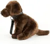 A plush toy dog sitting on a white background. Produktbild-Vorschau