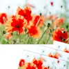 Abwaschbare Tischsets 4er Set Sommer Mohn-Blumen Produktbild-Vorschau 1
