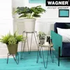 WAGNER Pflanzenständer HAIRPIN STYLE - Ø 30/50 x 60 cm, für Produktbild-Vorschau 3