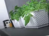 Länglicher Blumentopf DRL500P mit Untersetzer | Anthrazit Produktbild-Vorschau 3