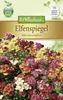 Elfenspiegel Märchenzauber | Blumensamen von N.L. Produktbild-Vorschau 1