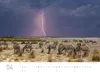 Exklusivkalender Namibia 2027, 70 x 50 cm, limitierte Produktbild-Vorschau 9