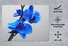 MuchoWow® Mauspad Mousepad Blaue Orchidee 40x30 cm - Produktbild-Vorschau 2