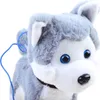 Close-up of a plush husky dog toy with a blue leash. Produktbild-Vorschau