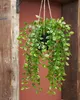 Mica Decorations Ficus hängende Kunstpflanze - H81 cm - Produktbild-Vorschau 5