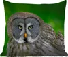 MuchoWow® Outdoor Kissen - Vogel - Eule - Tiere - Braun - Produktbild-Vorschau 1