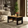 A living room scene with a couch, coffee table, plant, and bookshelf. Anteprima dell’immagine prodotto