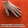 Zerbino Domenico Elegante e pratico tappetino antipolvere Anteprima dell’immagine prodotto 4