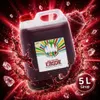 Rainbow Slush Sirup Kirsche 5 Liter 1:5 AZO frei ohne Produktbild-Vorschau 10