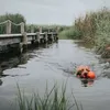 Hunter Hunde Schwimmweste Moss, Größe:M Produktbild-Vorschau 4