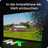Reolink Go Ultra+Solarpanel, 4K 8MP Akku 4G LTE Produktbild-Vorschau 4
