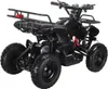 Swoop quad elettrico Ranger 1000W Anteprima dell’immagine prodotto 3