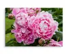 Fabelhafte Canvas LEINWAND BILDER 90x60 cm XXL Produktbild-Vorschau 3