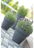 Klassischer runder Blumentopf DBC35 | Anthrazit Produktbild-Vorschau 12