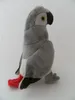 Cornelissen - Kuscheltier - Graupapagei - 19 cm Produktbild-Vorschau 2