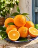 Egzotyczna drzewo pomarańczowe 100-120 cm – pomarańcza Podgląd zdjęcia produktu 2