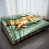 A golden retriever puppy sleeps peacefully on a plush green and brown dog bed, bathed in soft sunlight filtering through sheer curtains. Produktbild-Vorschau
