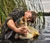 Boilies SuperFeed 18 mm/1 kg Halibut & Jahoda Anteprima dell’immagine prodotto 3