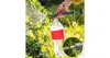 Multipack 6 ks Head postřikovač na pet láhev 1 ks Náhled obrázku produktu 3