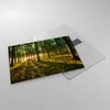 Bilder auf glas - Wald grün Sonnenstrahlen Natur - 70x50cm Produktbild-Vorschau 2