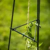Windhager Rankturm Pyramide, faltbar, pulverbeschichtet, Produktbild-Vorschau 3