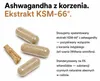 Wysoko skoncentrowane kapsułki Ashwagandha KSM-66 - 600 mg Podgląd zdjęcia produktu 2