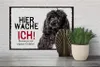 Holzschild Hinweis Pudel hier wache ich eigene Gefahr, 30 x Produktbild-Vorschau 5