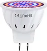 A close-up studio shot of a white LED grow light bulb. Produktbild-Vorschau