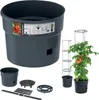 A product shot of a tomato planter with its components and a mature tomato plant in a planter with a stake. Náhľad obrázku produktu