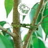 com-four® 200x Pflanzbinder - Pflanzenbinder grün - Produktbild-Vorschau 2