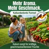 DÜNGEMEISTER Premium Gartendünger gegen mickrige Ernte & Produktbild-Vorschau 7