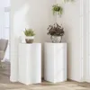 Supporto per piante 2 pz. Bianco 30x30x70 cm Materiale a Anteprima dell’immagine prodotto 1