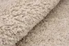 A close-up view of a beige shaggy rug, showing its texture and fibers. Anteprima dell’immagine prodotto