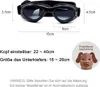 Hundesonnenbrille, verstellbares Band für UV-Sonnenbrille, Produktbild-Vorschau 4