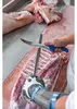 F. DICK Wetzstahl DICKORON polish 30cm Abzug Produktbild-Vorschau 4