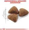 Royal Canin Home Life Indoor 27, Dorosły, 4 kg Podgląd zdjęcia produktu 5