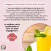 KITCHENPRO Orangenpresse - VENTEO - Manuelle Zitruspresse - Produktbild-Vorschau 7