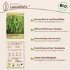 Samenliebe  Erbse Samen | Rembrandt - violette Blüten & süß Produktbild-Vorschau 3