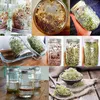 Seed Sprouting Kit, Sprouting Mason Jar mit Edelstahl-Sieb Produktbild-Vorschau 5